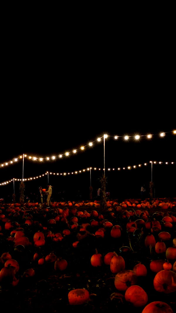 mira.0004 image ~ Altpins