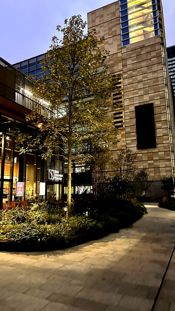 mira.0004 image ~ Altpins