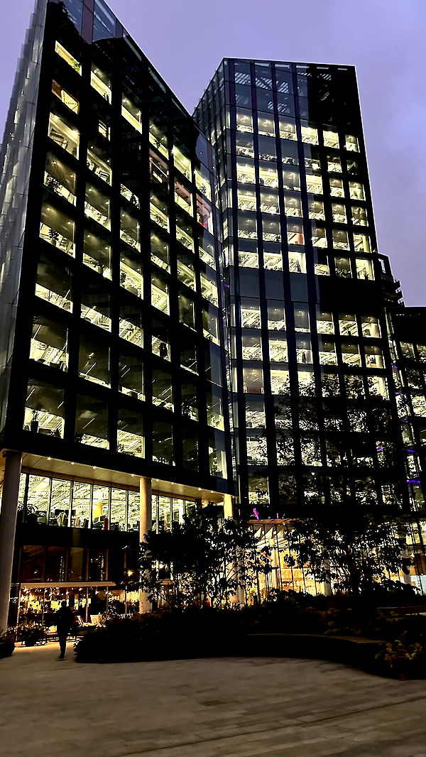 mira.0004 image ~ Altpins