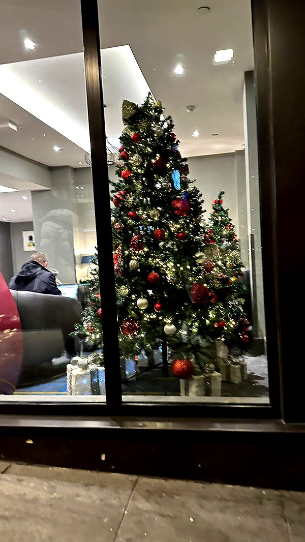 mira.0004 image ~ Altpins