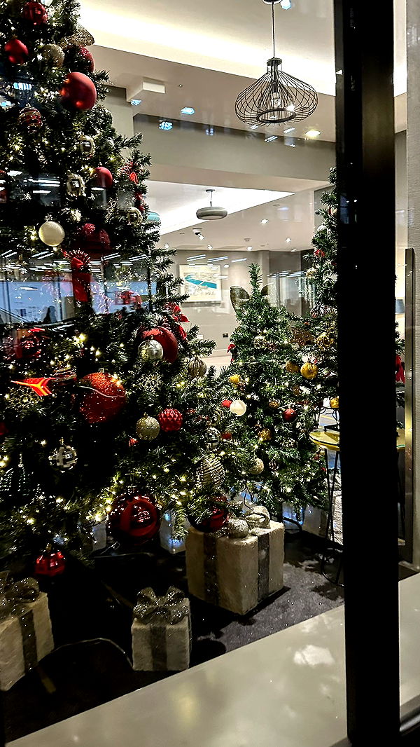 mira.0004 image ~ Altpins