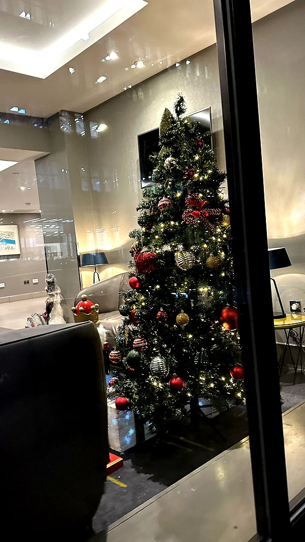 mira.0004 image ~ Altpins