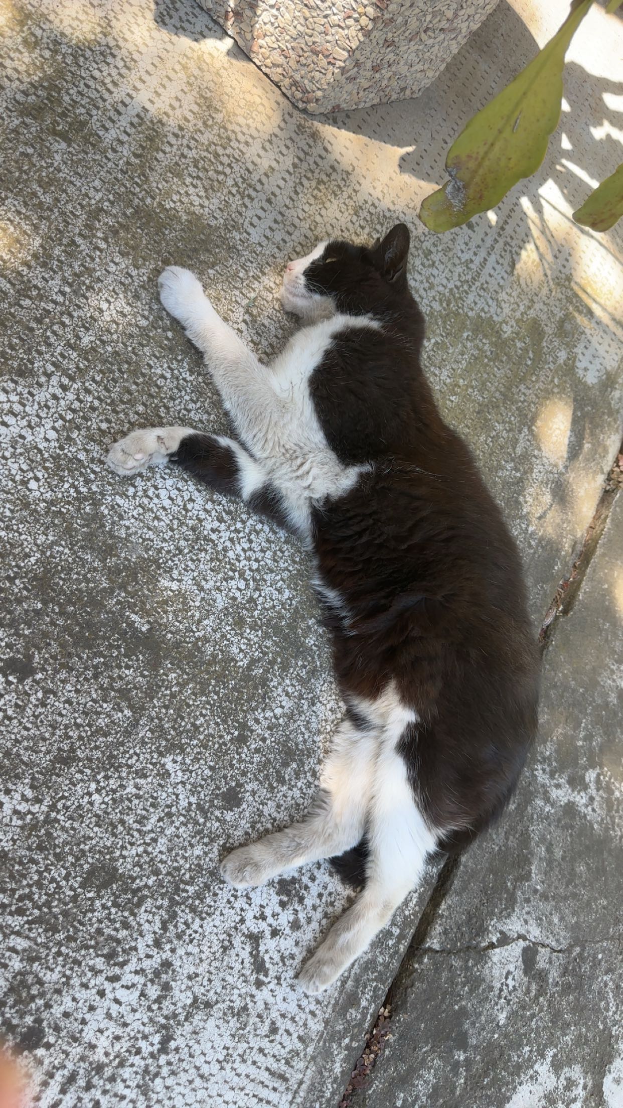 mira.0004 snapchat image archive image