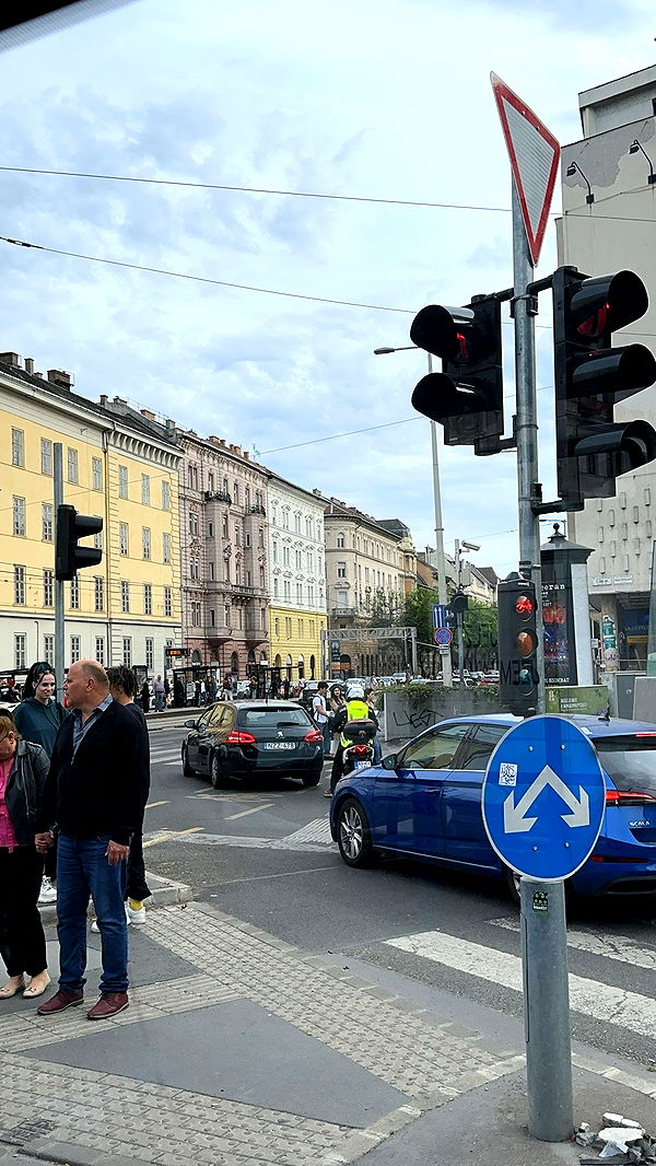 mira.0004 image ~ Altpins