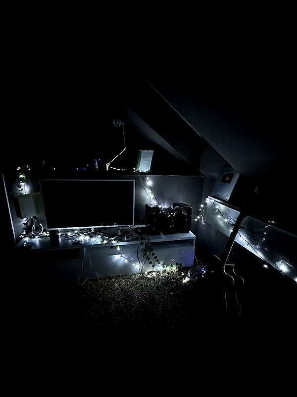 mira.0004 image ~ Altpins