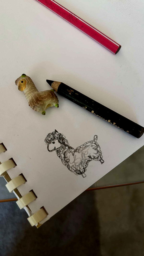 mira.0004 image ~ Altpins