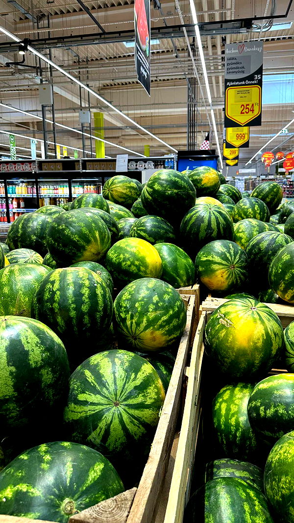 mira.0004 image ~ Altpins