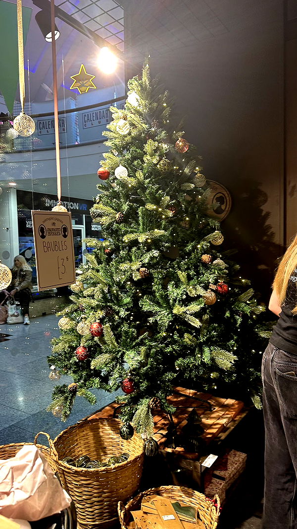 mira.0004 image ~ Altpins