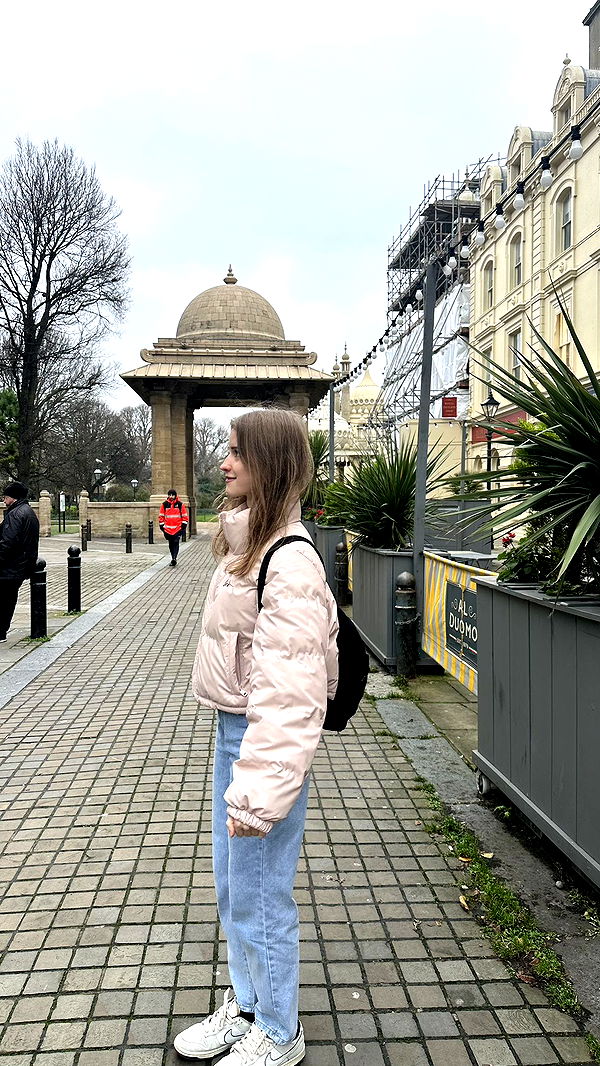 mira.0004 image ~ Altpins