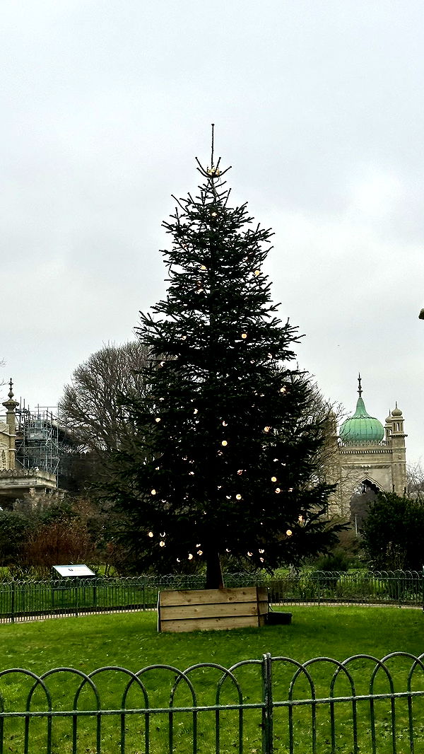 mira.0004 image ~ Altpins