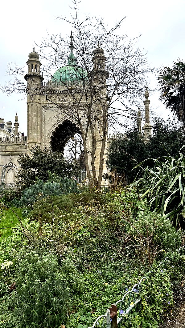 mira.0004 image ~ Altpins