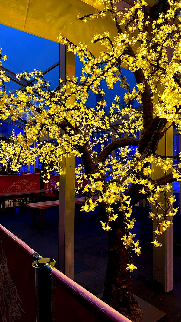 mira.0004 image ~ Altpins