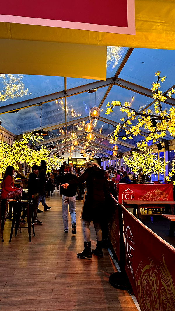 mira.0004 image ~ Altpins