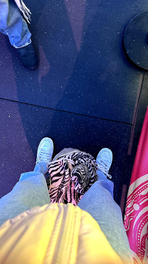 mira.0004 image ~ Altpins