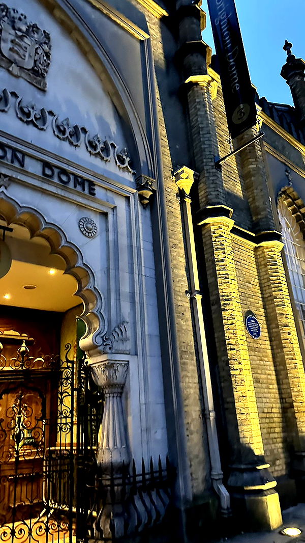 mira.0004 image ~ Altpins