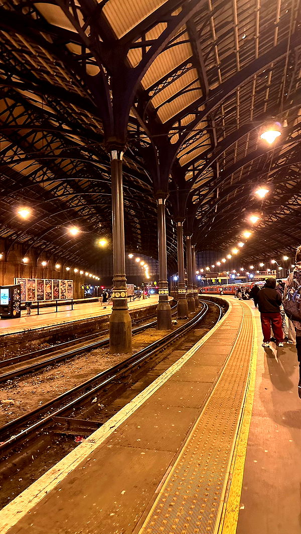 mira.0004 image ~ Altpins