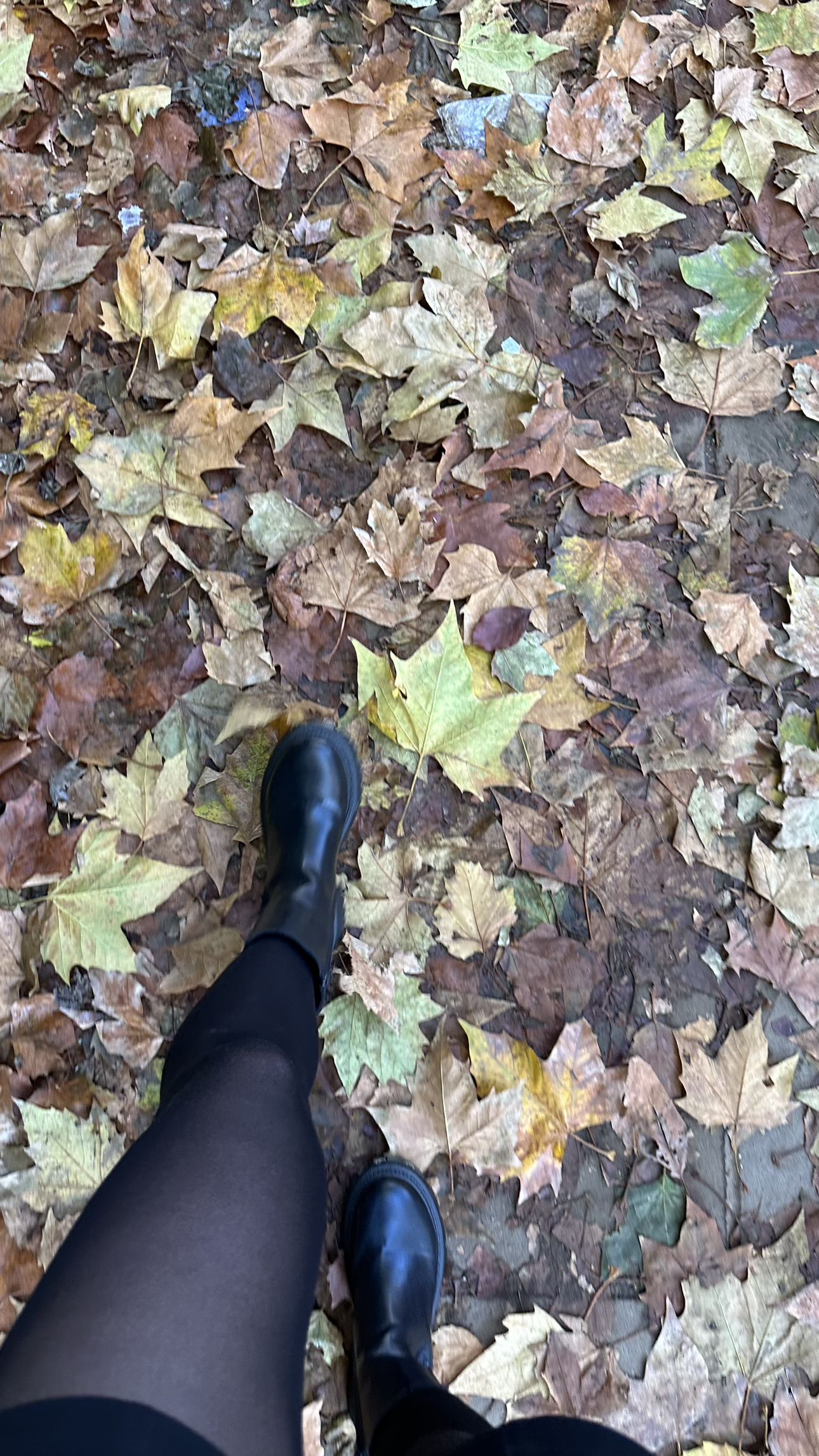 mira.0004 snapchat image archive image