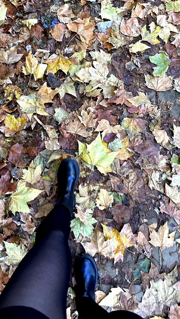 mira.0004 image ~ Altpins