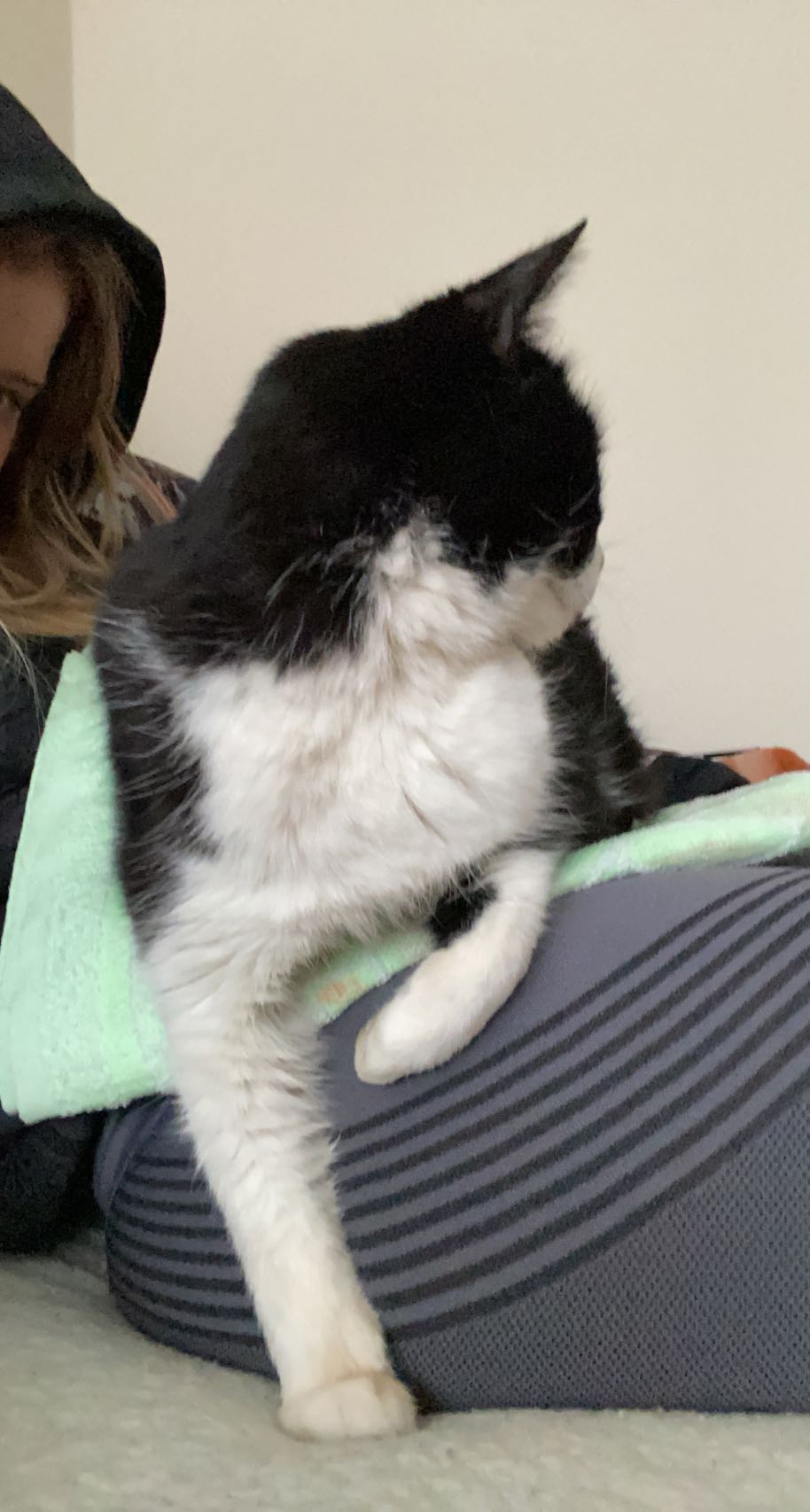 mira.0004 snapchat image archive image