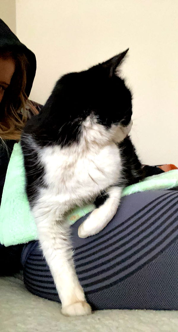 mira.0004 image ~ Altpins