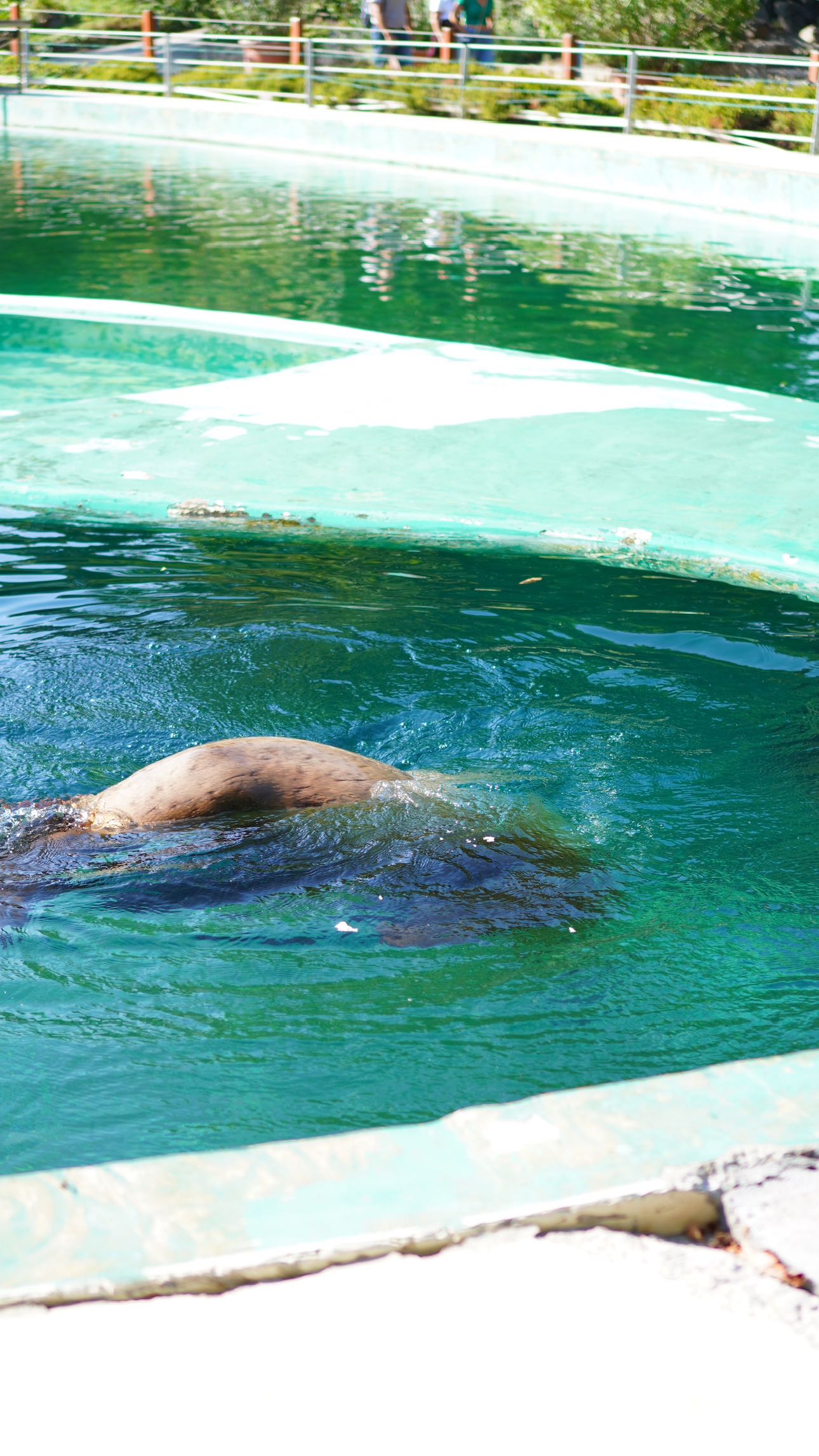 mira.0004 snapchat image archive image