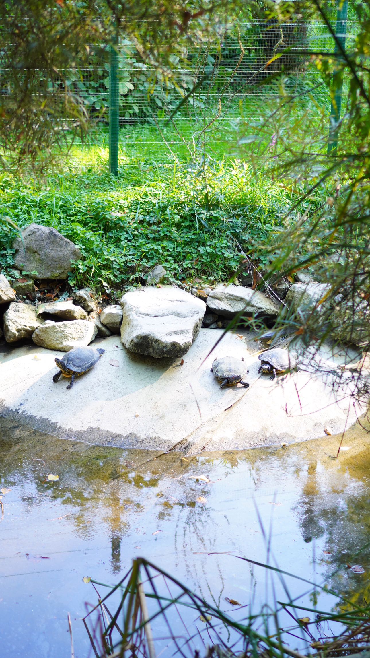 mira.0004 snapchat image archive image