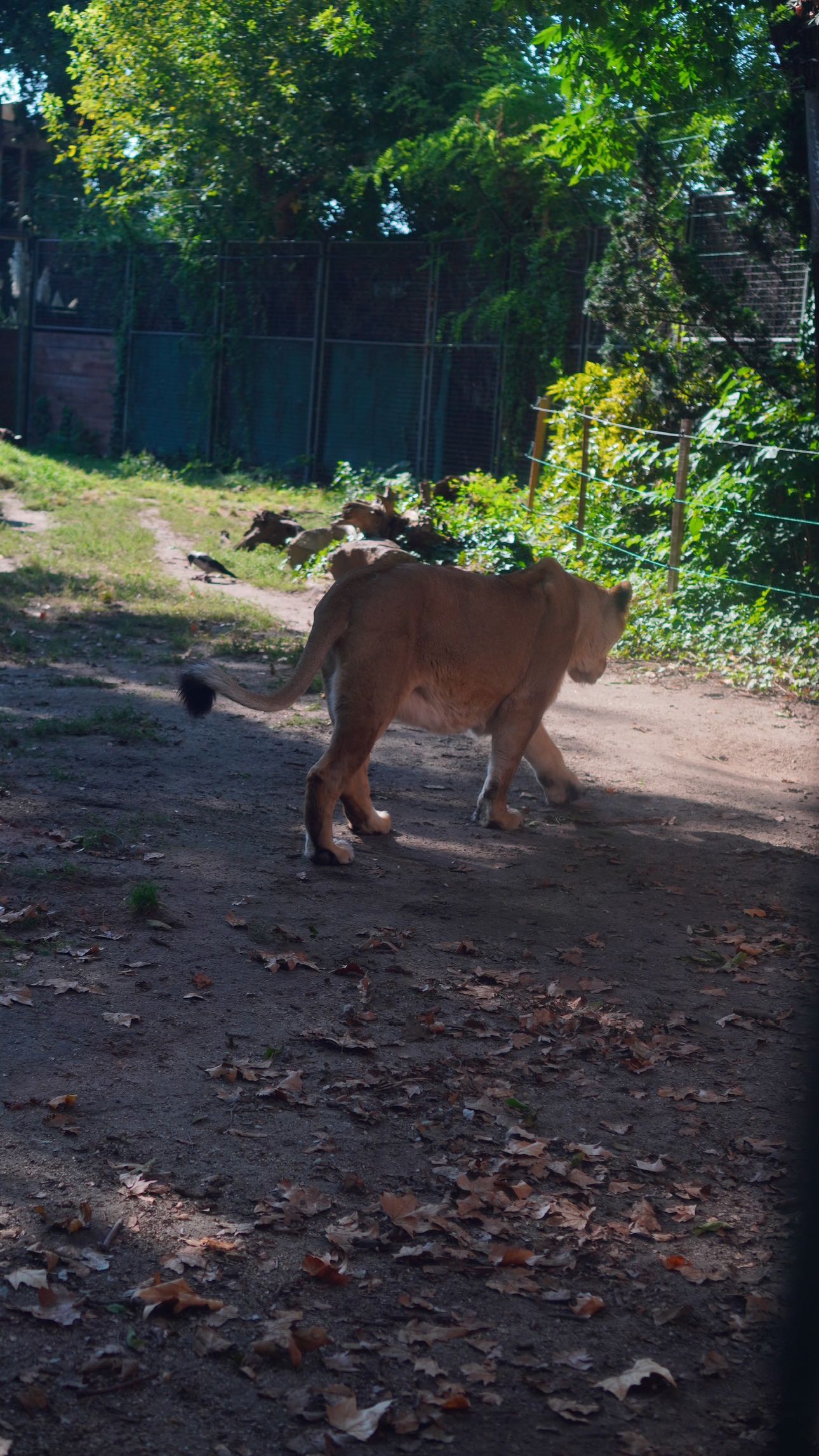 mira.0004 snapchat image archive image