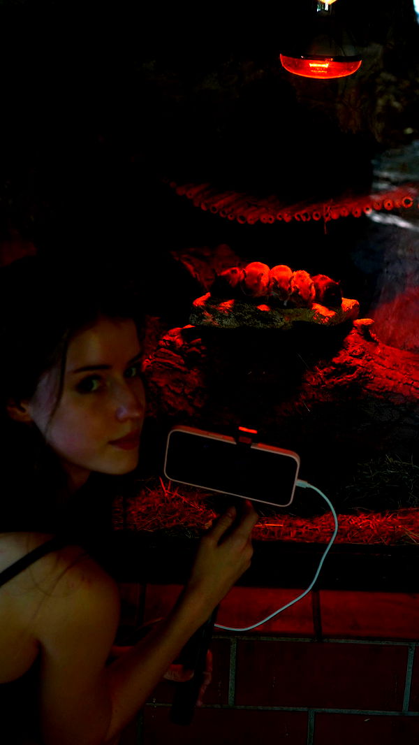 mira.0004 image ~ Altpins