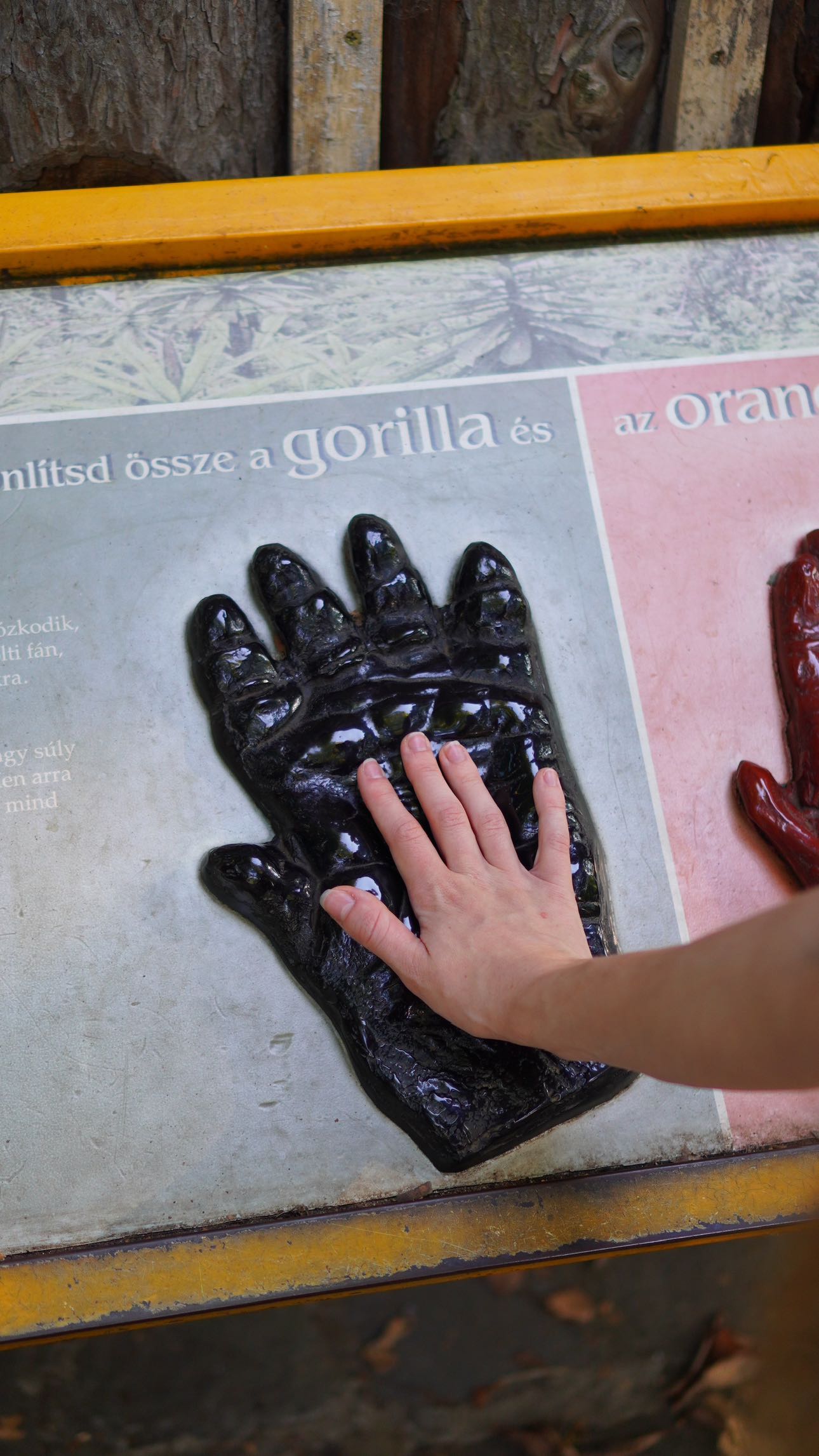 mira.0004 snapchat image archive image