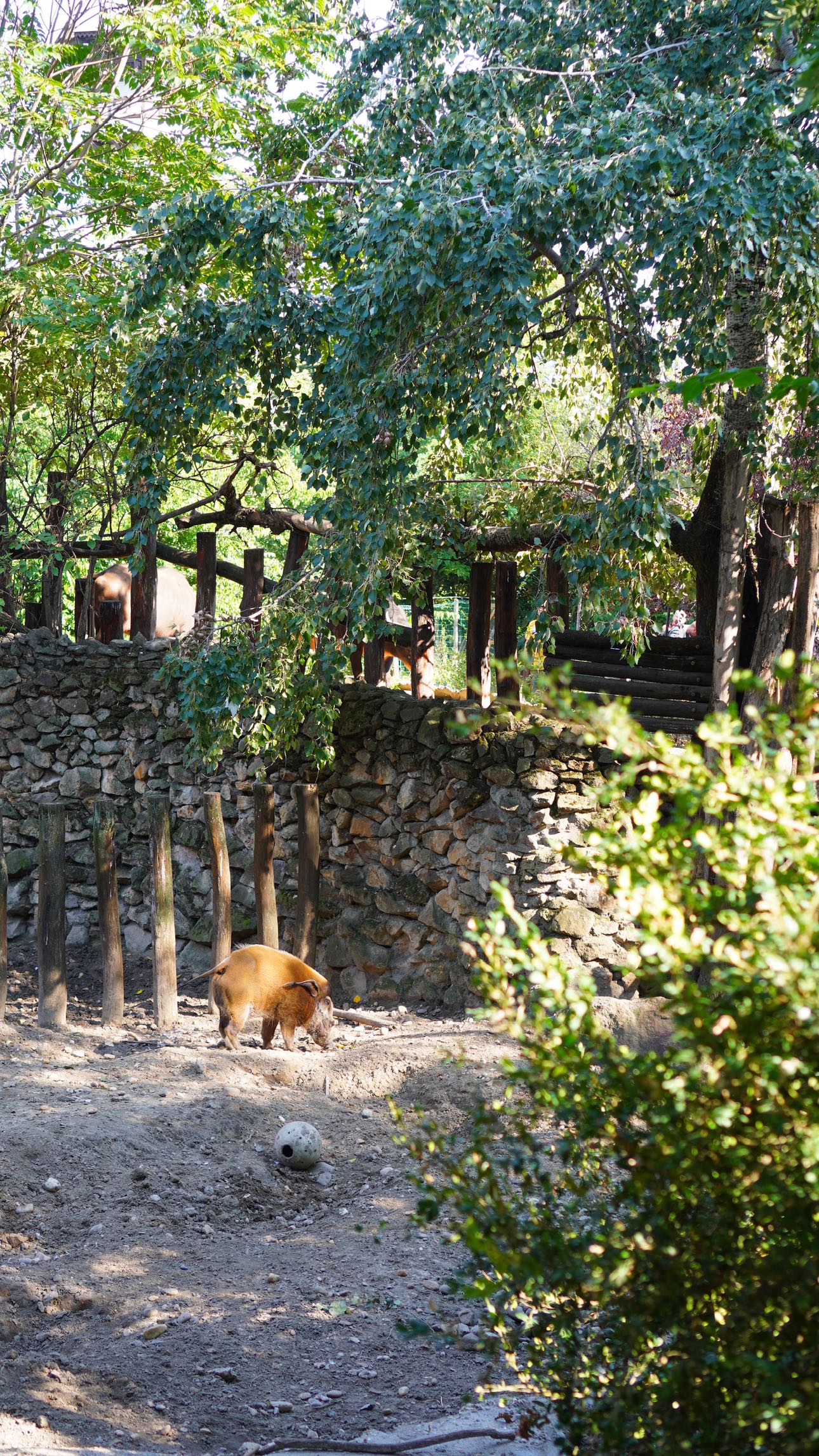 mira.0004 snapchat image archive image