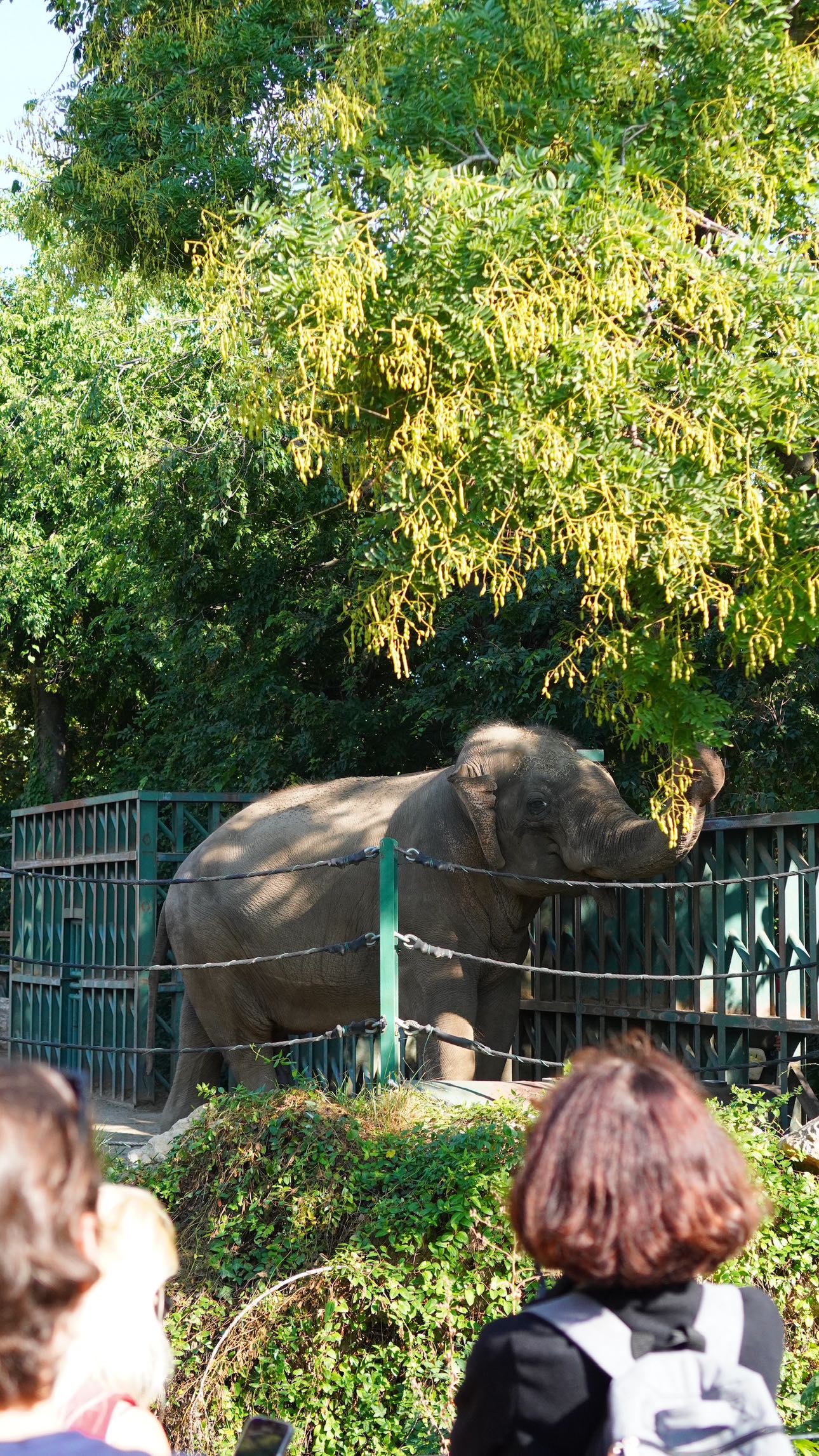 mira.0004 snapchat image archive image