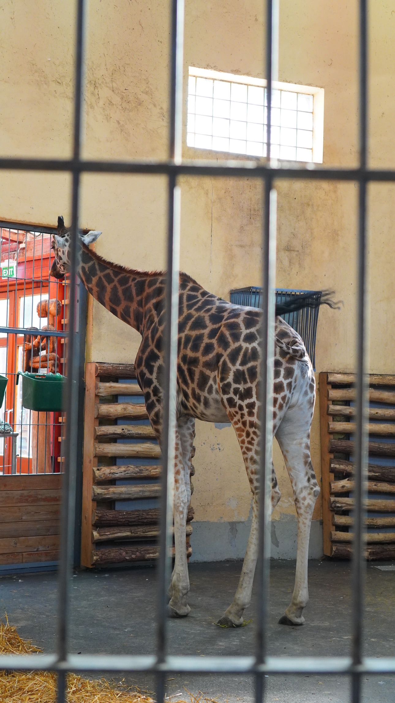 mira.0004 snapchat image archive image