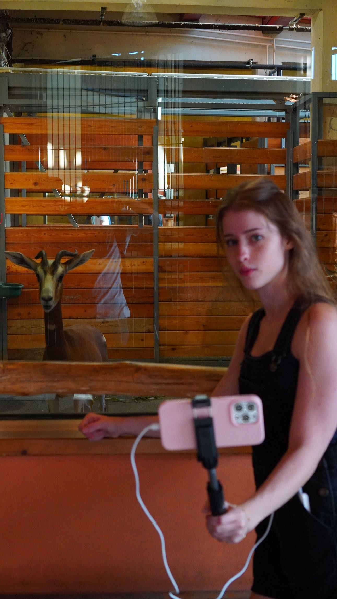 mira.0004 snapchat image archive image