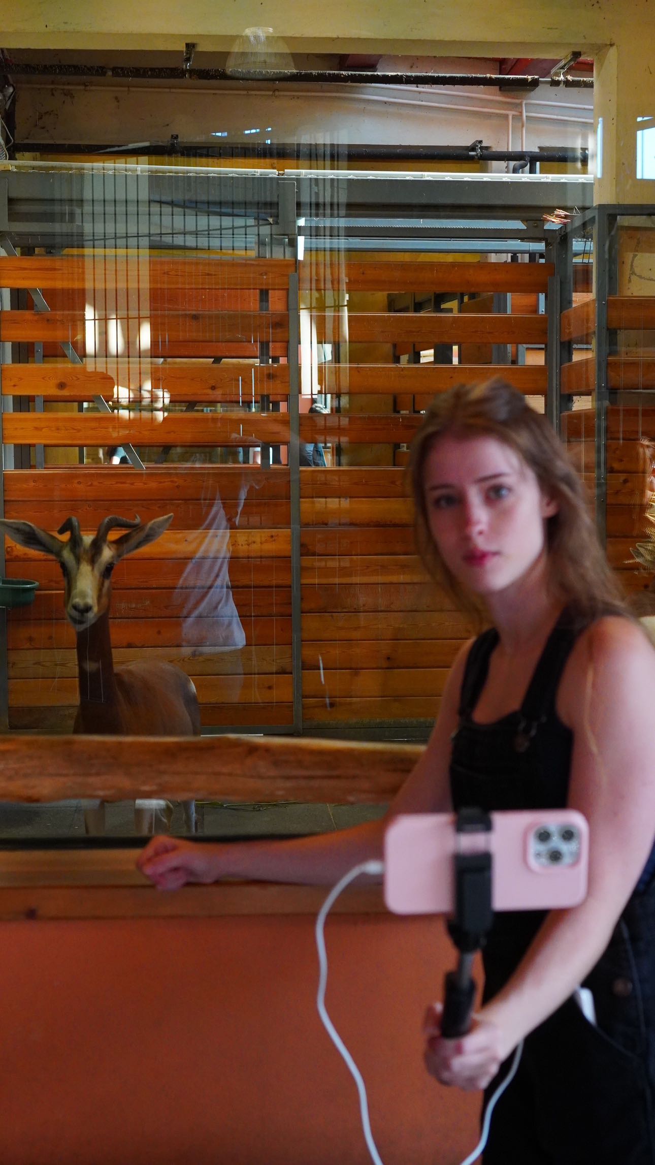 mira.0004 snapchat image archive image