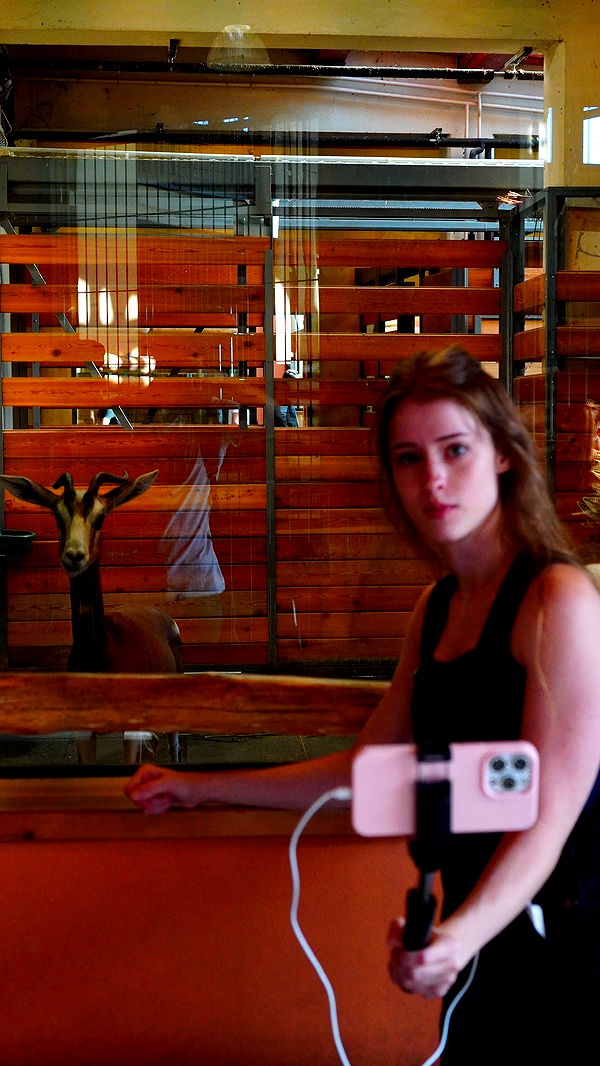 mira.0004 image ~ Altpins