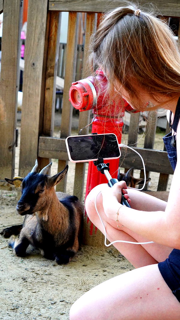 mira.0004 image ~ Altpins