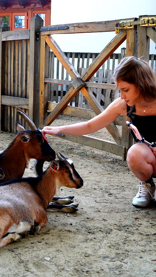 mira.0004 image ~ Altpins