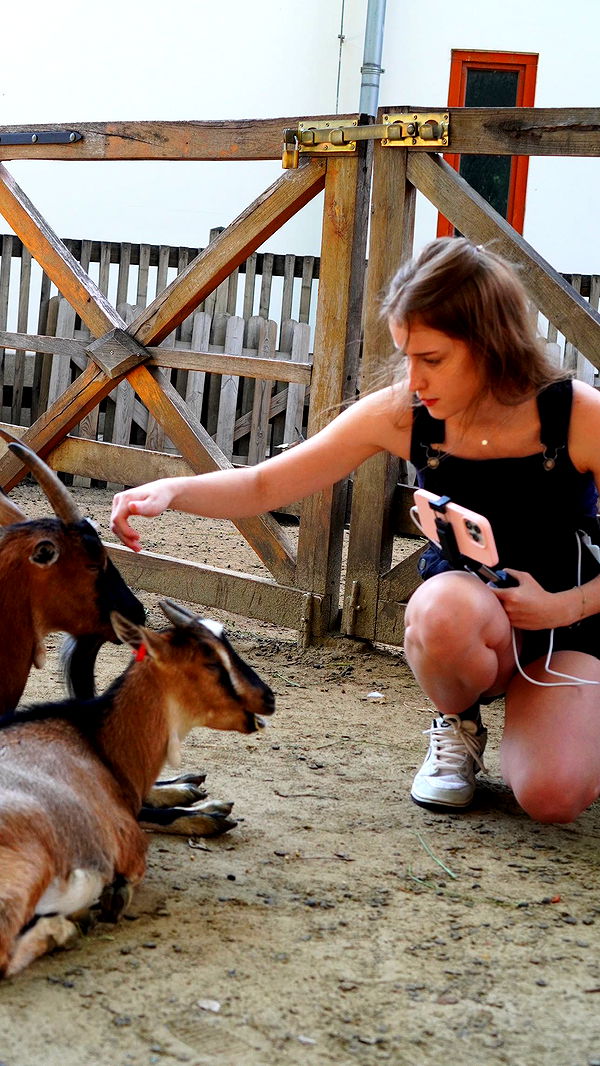 mira.0004 image ~ Altpins