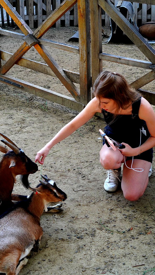 mira.0004 image ~ Altpins