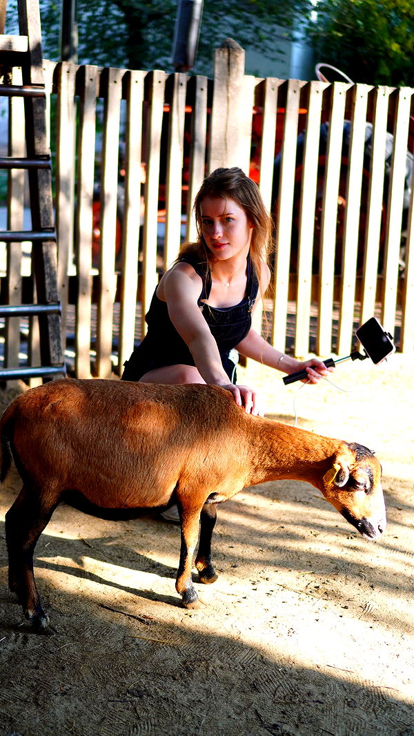 mira.0004 image ~ Altpins