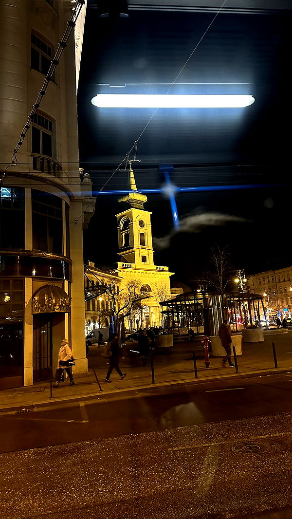 mira.0004 image ~ Altpins