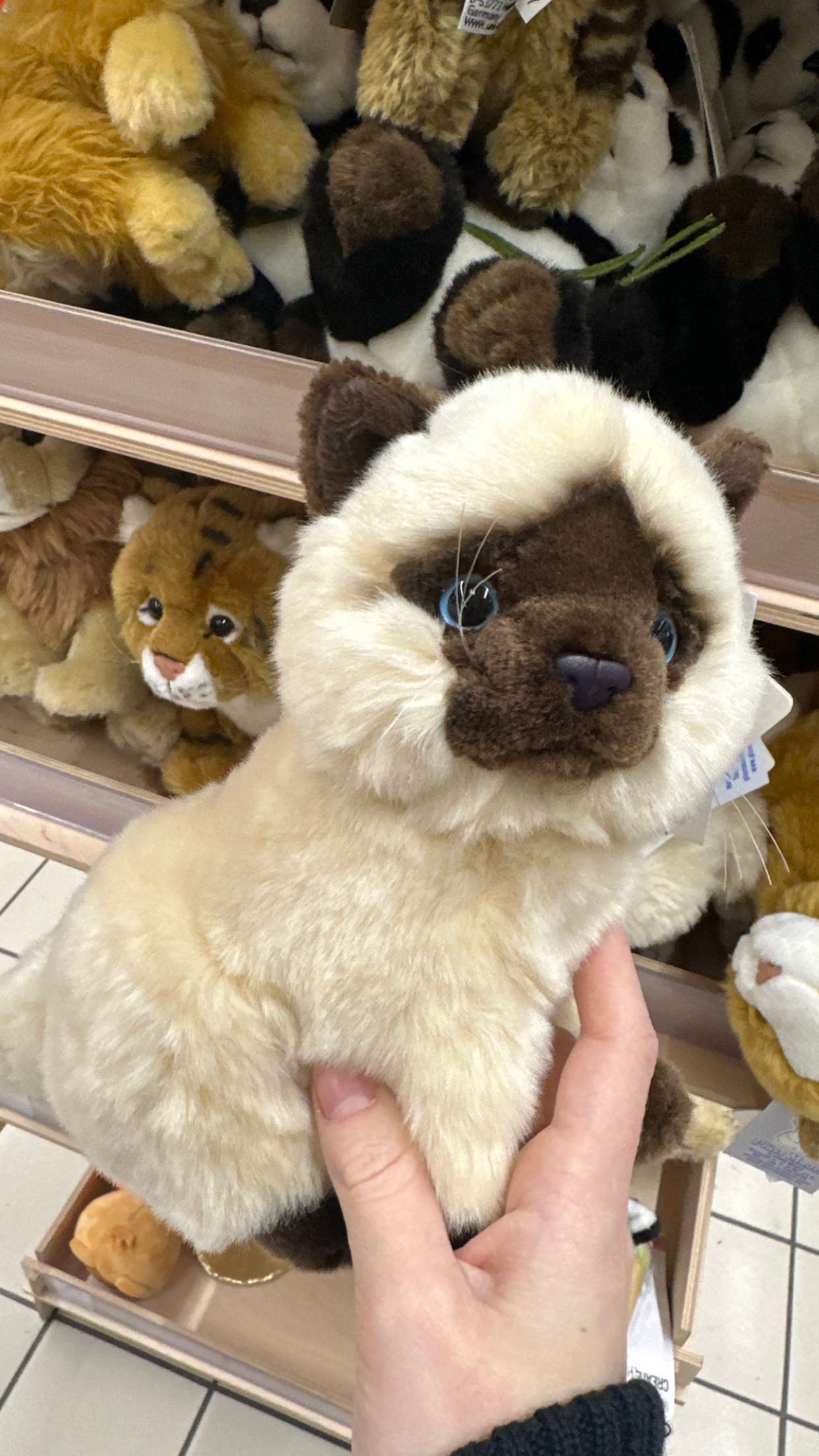 mira.0004 snapchat image archive image