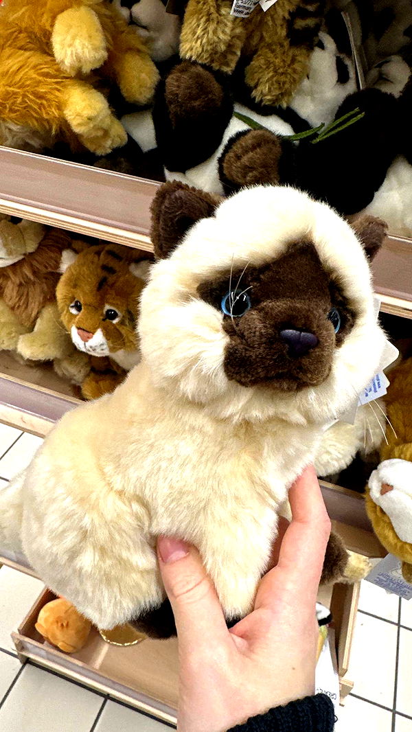 mira.0004 image ~ Altpins