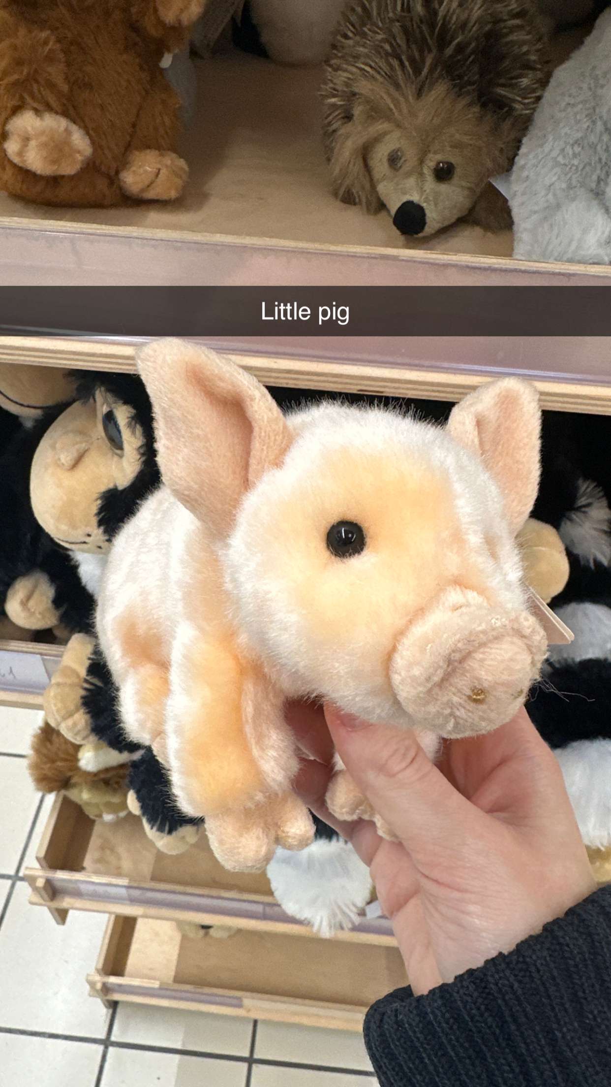 mira.0004 snapchat image archive image