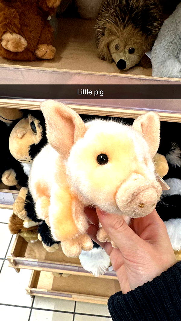 mira.0004 image ~ Altpins