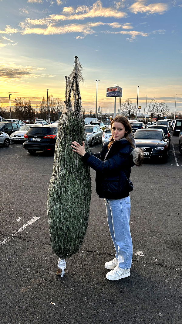 mira.0004 image ~ Altpins