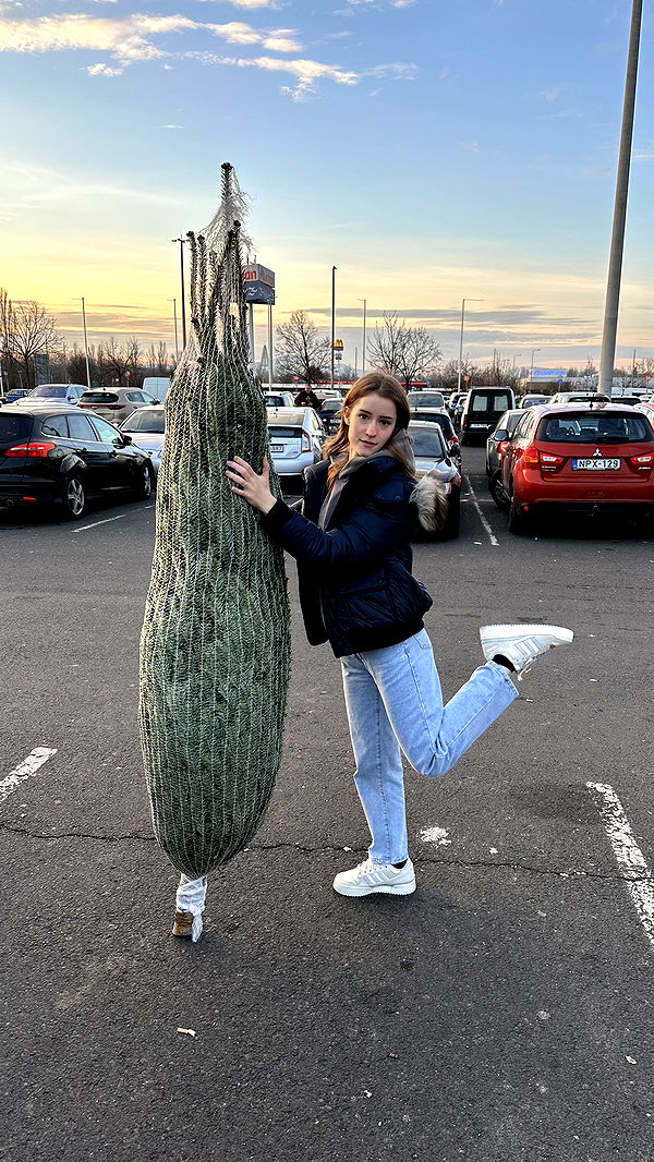 mira.0004 image ~ Altpins