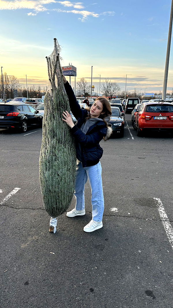 mira.0004 image ~ Altpins