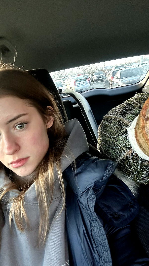 mira.0004 image ~ Altpins