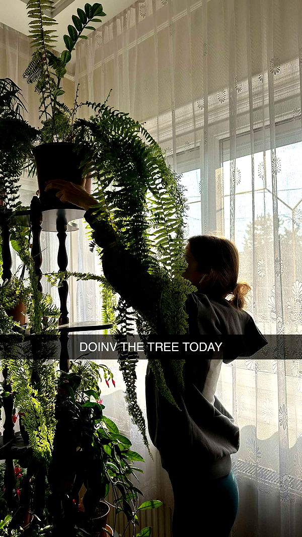 mira.0004 image ~ Altpins